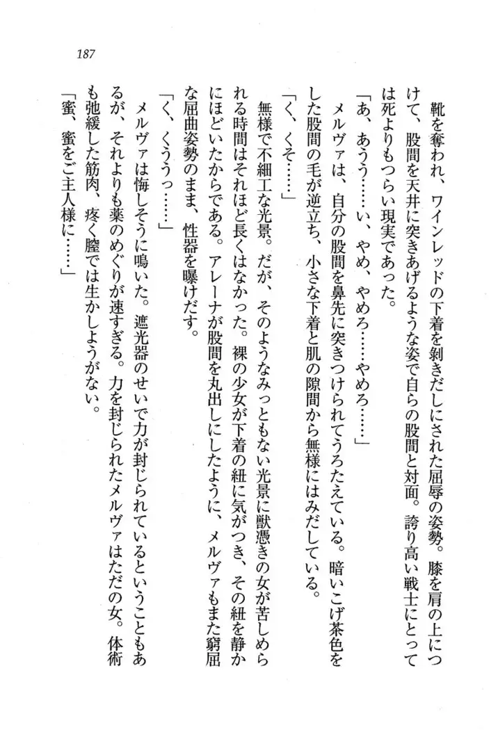 Circus~聖杯の魔法使い