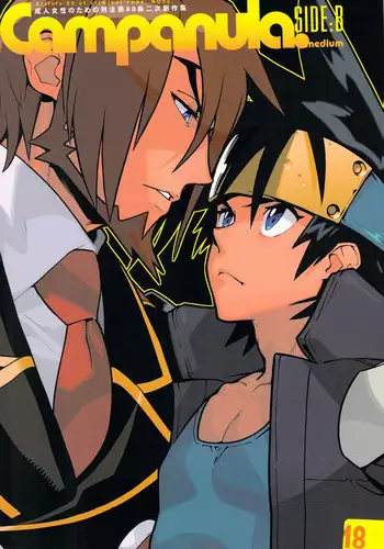 (C84) [Article 60 of Criminal Code (Shuhan)] Campanula.SIDE:B (Shinrabanshou Choco)