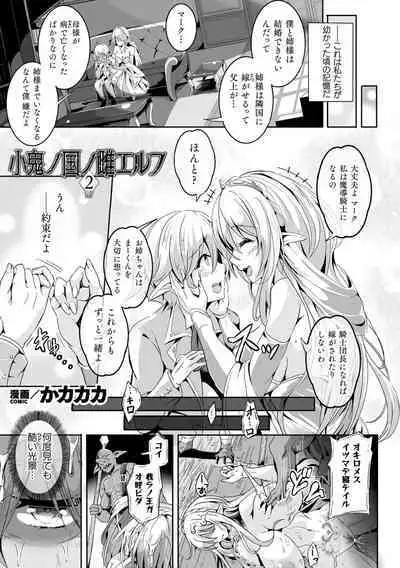 Kukkoro Heroines Vol. 28