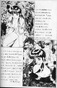 (C57) [Chandora & LUNCH BOX (Makunouchi Isami)] Lunch Box 41 - Hanayori mo nao ga wa mata… (Sakura Taisen, Sakura Taisen 3)