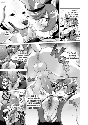 Chocolat-chan no Kirakira Roshutsu Juukan | Chocolat's Sparkling Public Mating Show