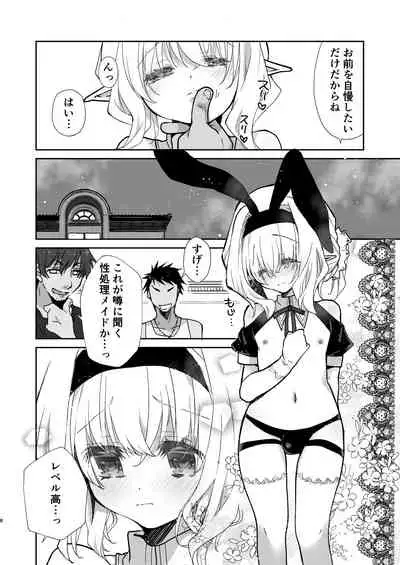 Honey Doll ウチのメイドの男の娘 2 ~バニーガール♂で客接待編~