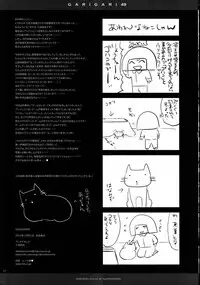 (C83) [Alemateorema (Kobayashi Youkoh)] GARIGARI49 (Touhou Project)