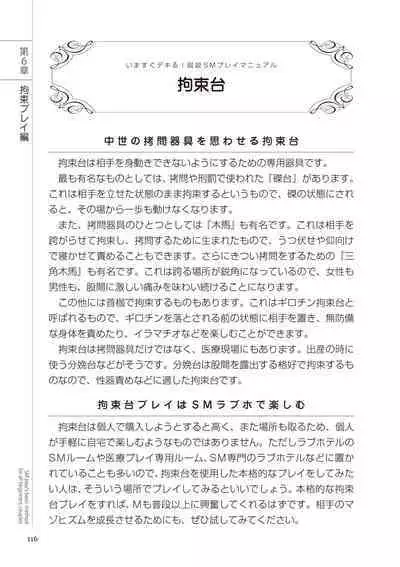 いますぐデキる 図説SMプレイマニュアル