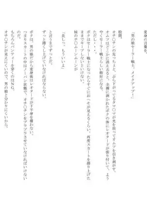 男の娘セーラー戦士W