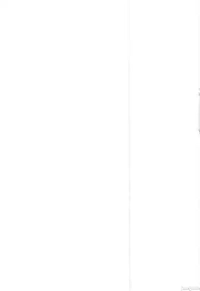 Schale Seishori Katsudou Nisshi 3