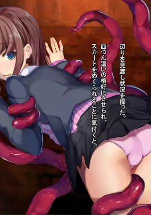 Hokaku sareta Shoujo ~ She becomes a sex slave due to reincarnation in another world ~