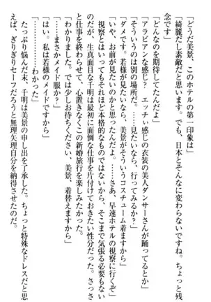 年上メイドの新婚日記