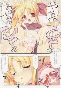 (C73) [STUDIO HIMAWARI (Himukai Kyousuke)] Kanzen Choukyou Fate Shiki (Mahou Shoujo Lyrical Nanoha)