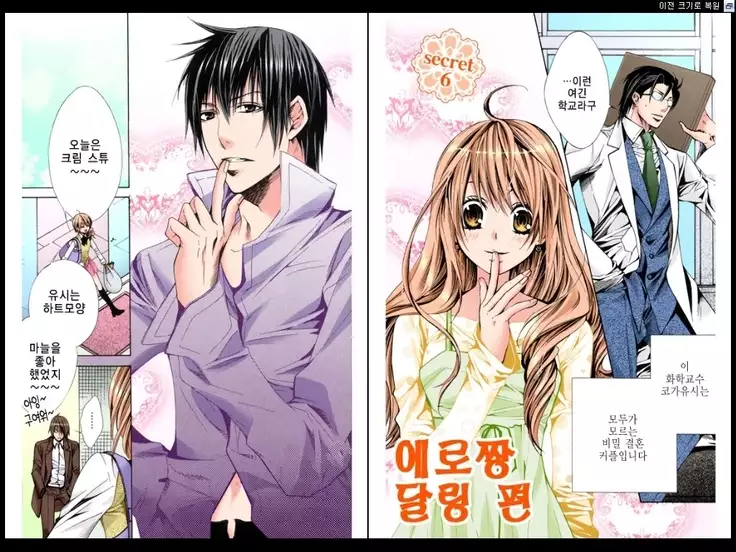 Naisho no Love Mariage | 비밀의 결혼