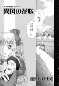 [Anthology] Pure Petit Vol.17