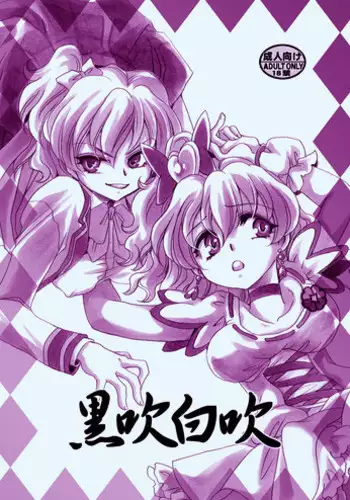 [Nyagos (Yatengetu)] Kurobuki Shirobuki (Fresh Precure!) [Digital]