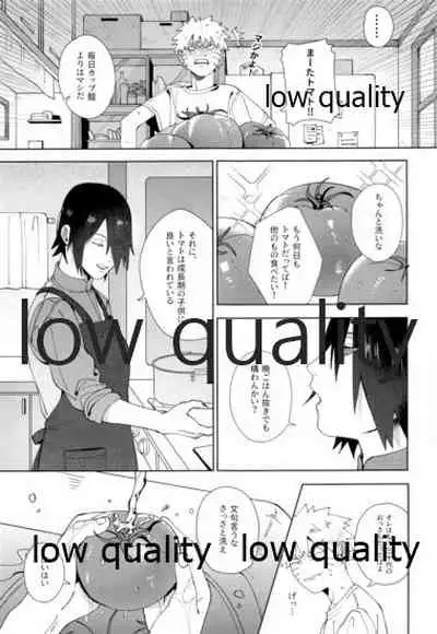 Sちゃんの欲張りセット