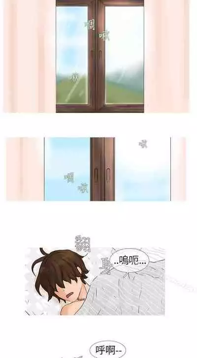 小野貓馴服手冊