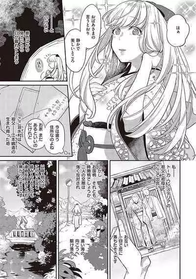 Anata no Yokubou no Iremono desu.