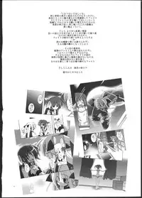 (C77) [MASULAO MAXIMUM (Kazekawa Nagi)] Mangetsu no Yoru ni Hana ~ Tou ~ (Mahou Shoujo Lyrical Nanoha)