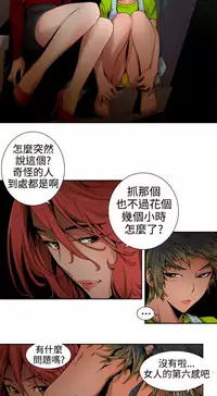 捕猎母猪 [中国翻訳]