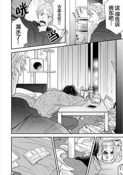 Dakasete Kudasai Furutaka Shunin｜请让我抱您古高主任