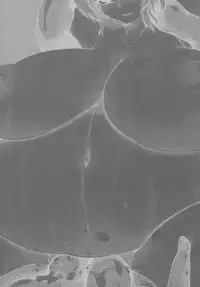 (C85) [Hadairo Rooibos Tea (Pandain)] Shokushu Chireiden ~Komeiji Satori~ (Touhou Project)