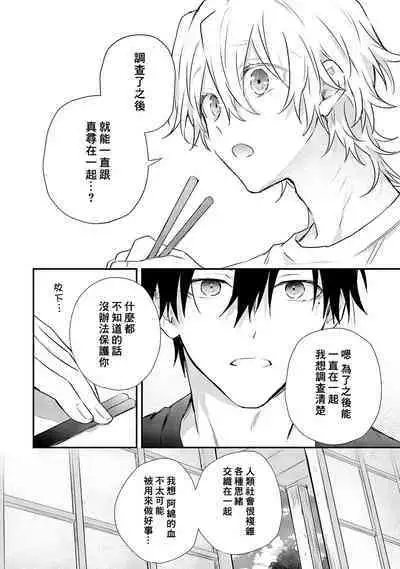 Shiokaze Mellow | 海风轻柔