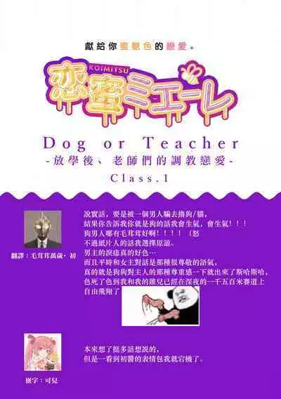 [Sechi] Dog or tīchā - hōkago, sensei-tachi no shitsuke ke ai - | Dog or Teacher-放学后，老师们的调教恋爱- Class.1-5 end [Chinese] [莉赛特汉化组]