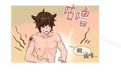 小野貓馴服手冊