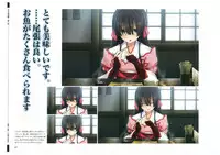 戦国†恋姫 ~乙女絢爛☆戦国絵巻~ ビジュアルファンブック-1