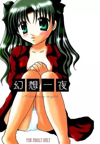 幻想一夜 / Fate