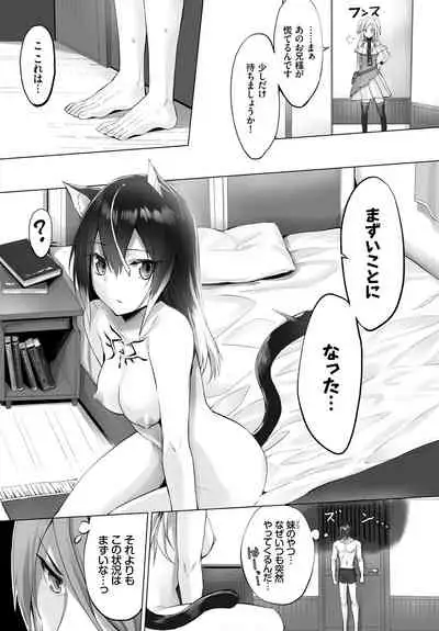 愚か者は猫耳奴隷に依存する~初めての調教生活~ 完全版 1巻