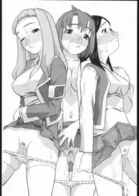 [Studio Wallaby (Niiruma Kenji)] Haruka Mai Natsuki to H na Kankei (My-HiME)