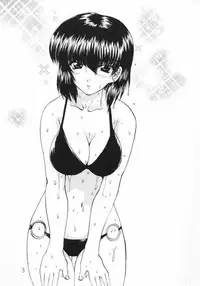 (C58) [Arrow Island (Gekka Saeki)] Final S2 (Sentimental Graffiti)